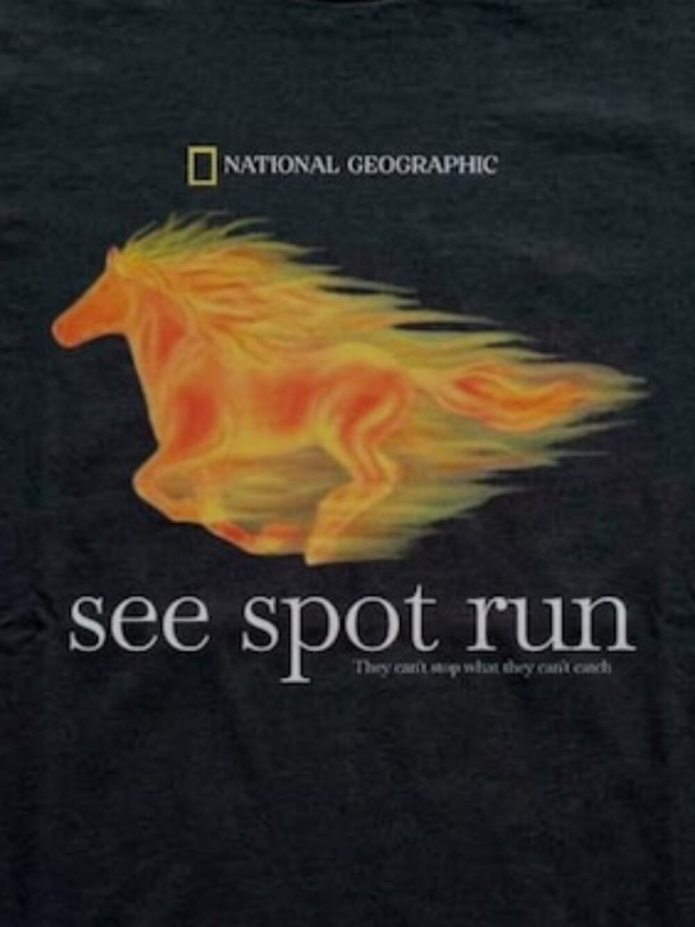 National Geographic See Spot Run Heat Wave Horse Graphic T-shirt - Picture 2 of 4